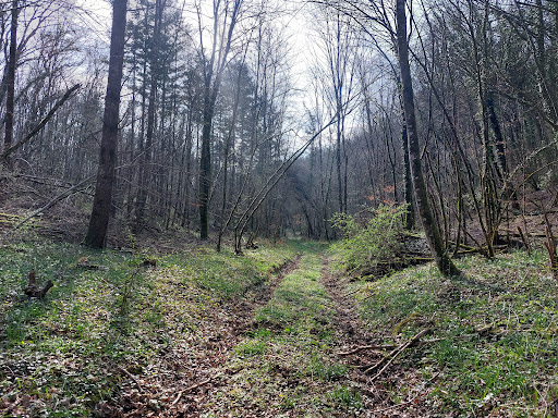 Petite Suisse Lorraine - Thumbnail