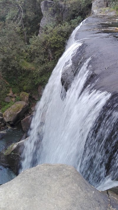 Photos of REAL LOS PAREDONES