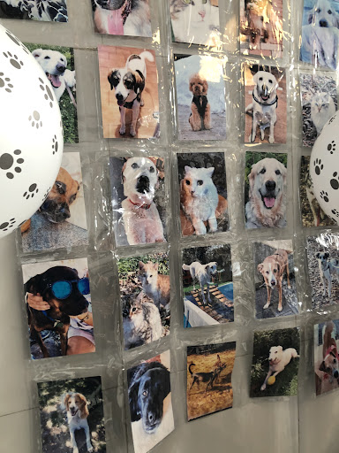 Negozio per Animali Milano | Margot for Pets - Thumbnail