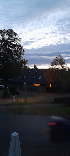 Lunestedt - Visual