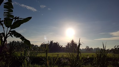 Photos of Ubud Padi Villas