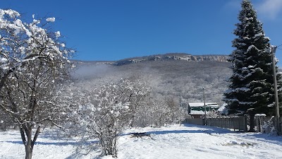 Photos of And Refrigeration - park "Bear's Corner"