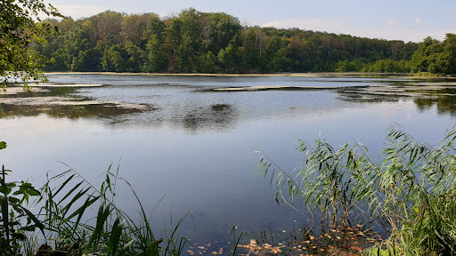 Plagefenn - Visual