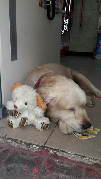 Photos of Atılgan Pet Shop