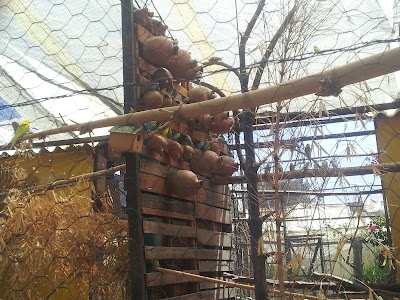 Photos of Villa Bonita