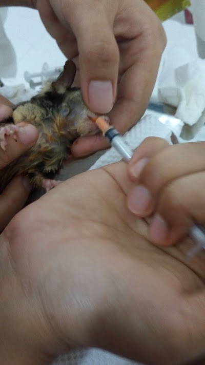 Photos of Petlove Center