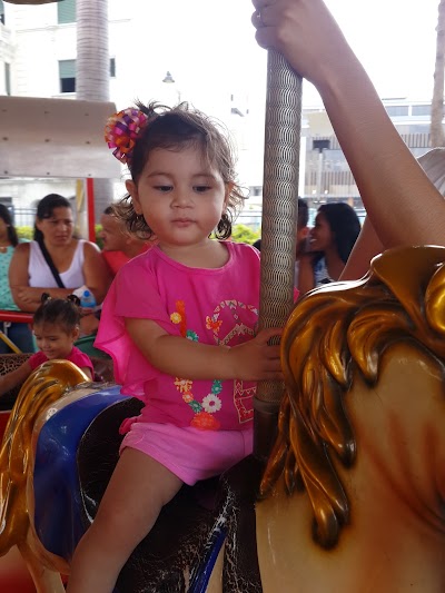 Photos of Safari Park