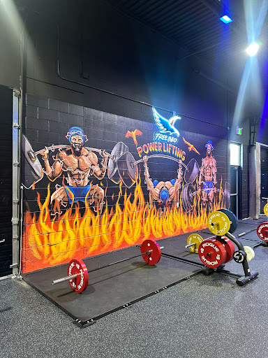 Free Bird Gym Mississauga - Thumbnail