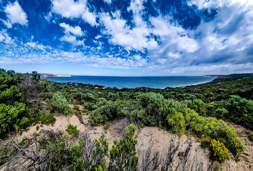 Templetonia Lookout Gallery - Australia