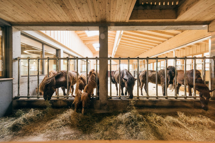 Familien Natur Resort Moar Gut by null
