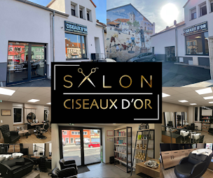 Photo n°15 de Salon Ciseaux d'or Mixte à Sarreguemines (Salon de coiffure)
