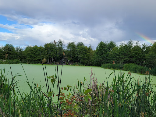 Talking Water Gardens - Thumbnail