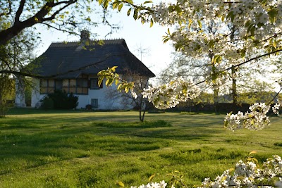 Photos of T&otilde;lluste m&otilde;is