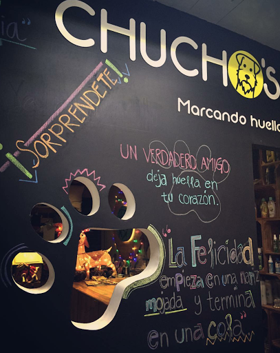 Chucho's - Thumbnail