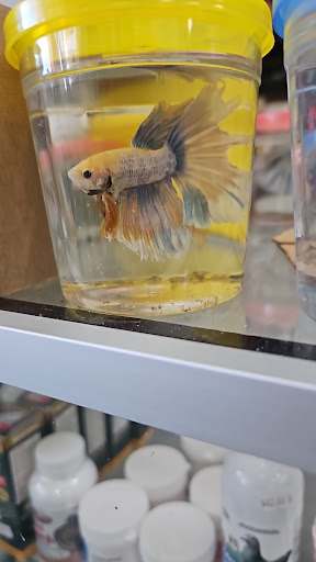 Fantastic Jungle Pet Shop and Supplies - Thumbnail