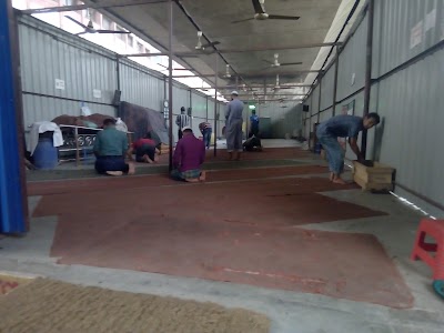 Photos of Jai Kali Temple