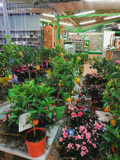 Photo de Jardibéarn