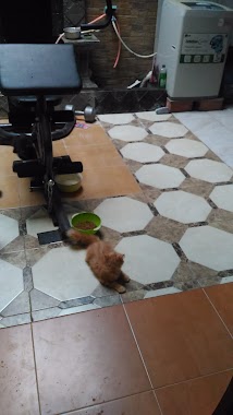 Rumah Kucing Hias Sara Raisya, Author: dachyar pratama effendy