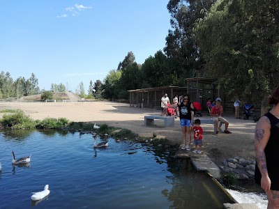 Photos of Botanical Garden University of Talca