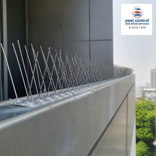 Tired of bird droppings damaging your property and creating an unhygienic environment? At Pest Co… post image
