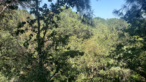 Sendero MTB "Loma Larga"