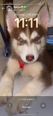 Colmado Villa nueva by null