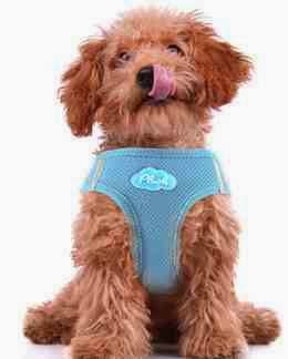 Simone's Hundedesign