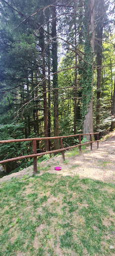 Ristorante Camping Camaldoli - Thumbnail
