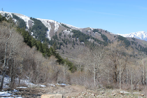 Millville Face Wildlife Management Area - Thumbnail