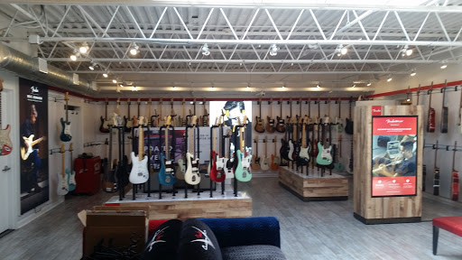 The Music Zoo