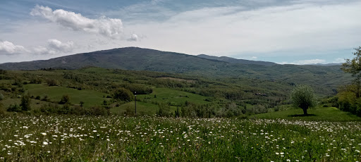 Borbera - Visual