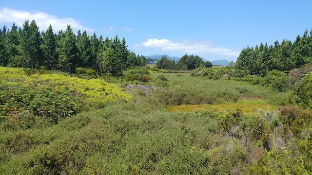 Tsitsikamma National Park Entrance