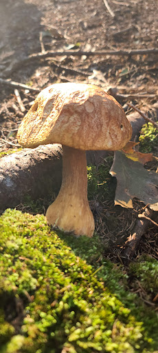 Beebe Trailhead - Thumbnail