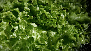 Photo n°2 de Eat Salad à Tours (Saladerie)