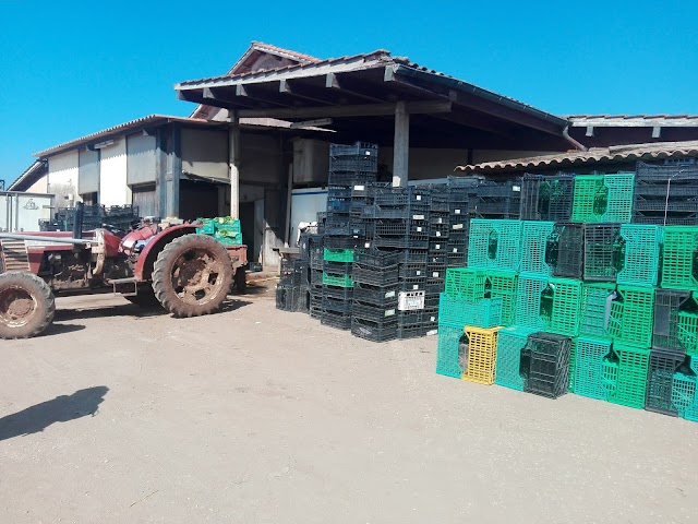 Agricoltura Nuova