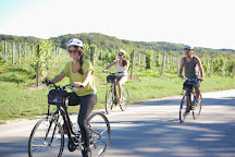 Grand Traverse Bike Tours, Suttons Bay, United States