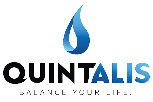 Quintalis - Visual