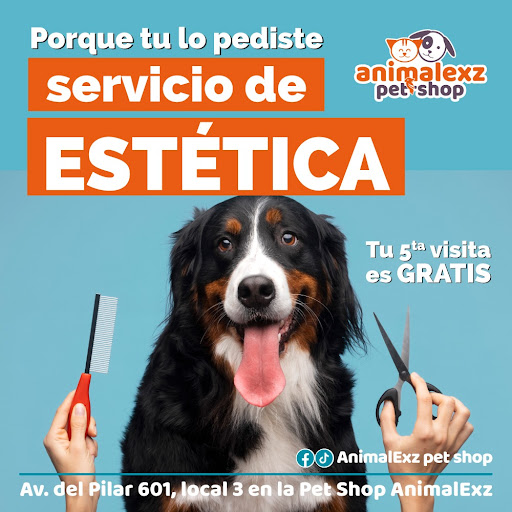 AnimalExz - Visual