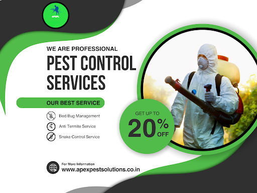 Our expert team uses advanced techniques and safe treatments to remove termites, cockroaches, bed…
