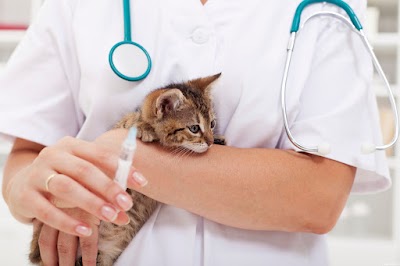 Photos of CENTRO MEDICO VETERINARIO AV. DE MAYO