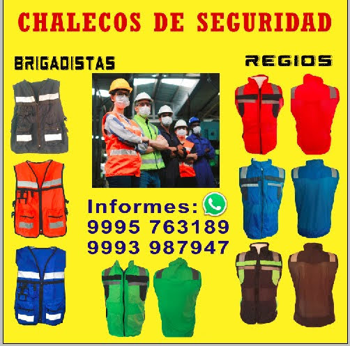 Smart Visión Mérida - Visual