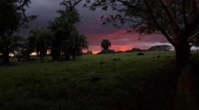 Photos of Guanaland Real Estate