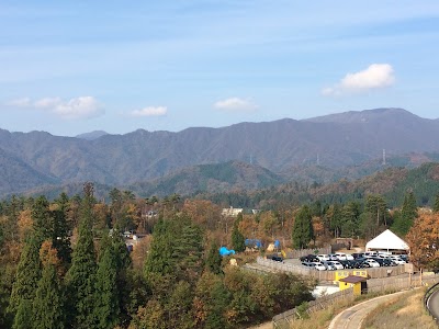 Photos of Fukui Prefectural Dinosaur Museum
