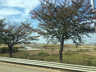 Photos of GS Caltex