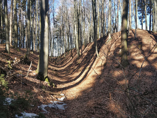 Haldenburg - Visual