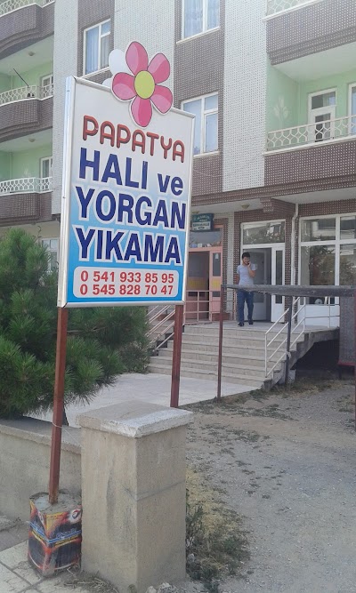 papatya halıyıkama