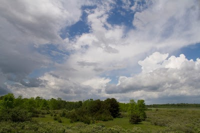 Woodland Dunes Nature Center & Preserve