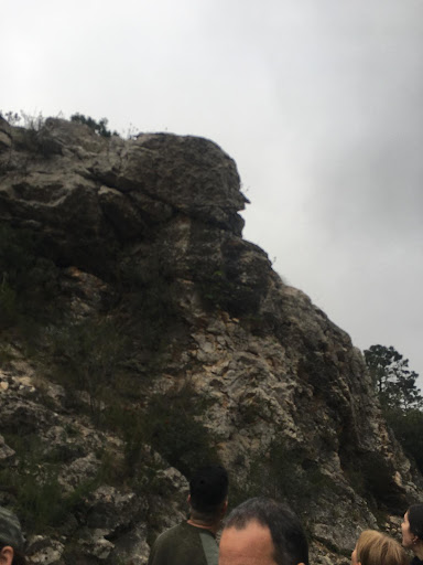 Pinaeta de la Vinya-Vella - Thumbnail