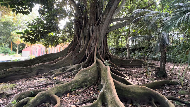 Jardim Botânico José do Canto