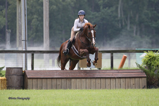 Carolina Horse Park Foundation